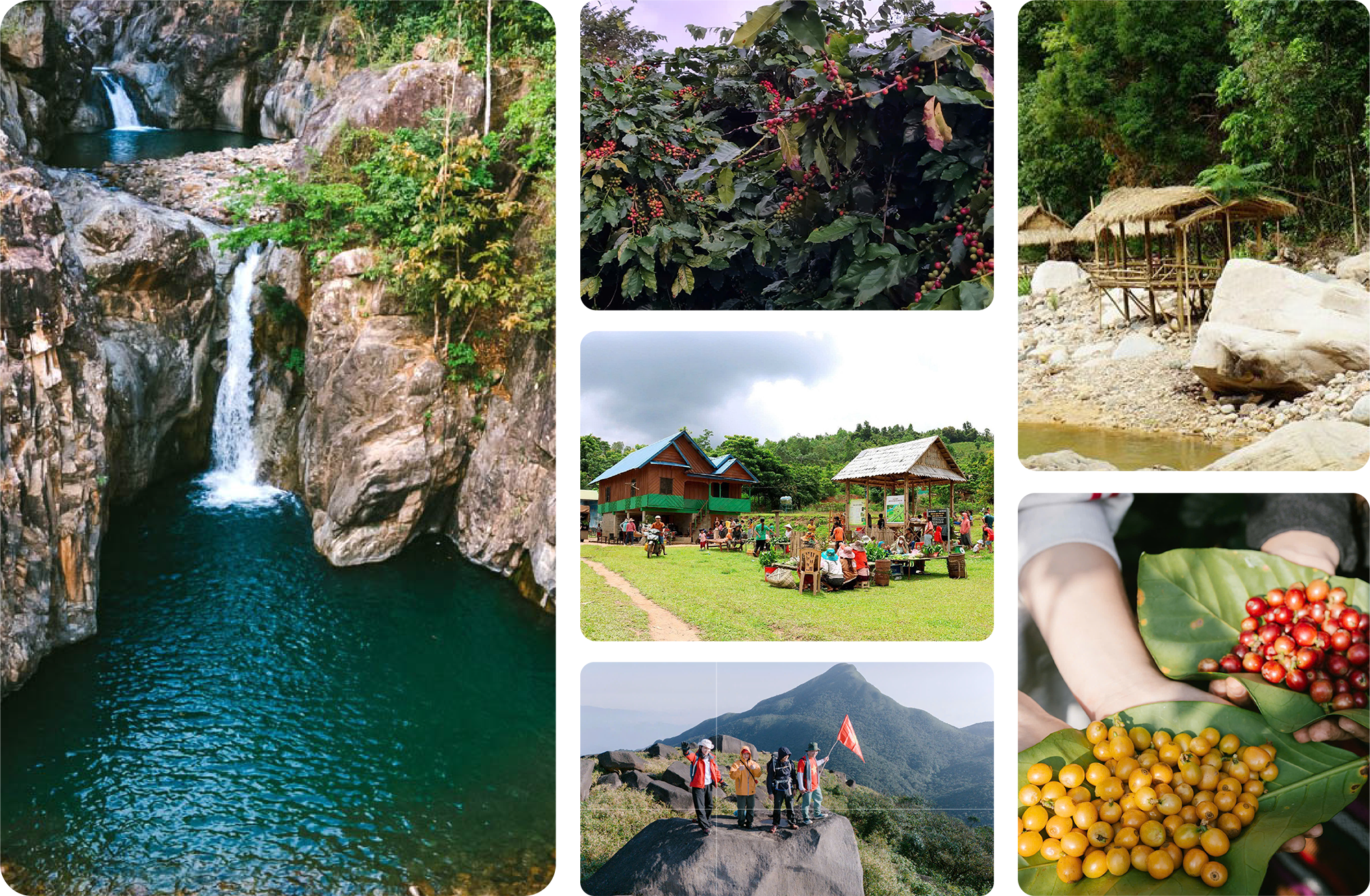 Cà phê Hướng Phùng giữa Trường Sơn