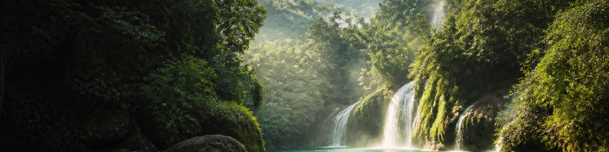 Banner Hướng Phùng - banner-canh-quan-thien-nhien-2000x500