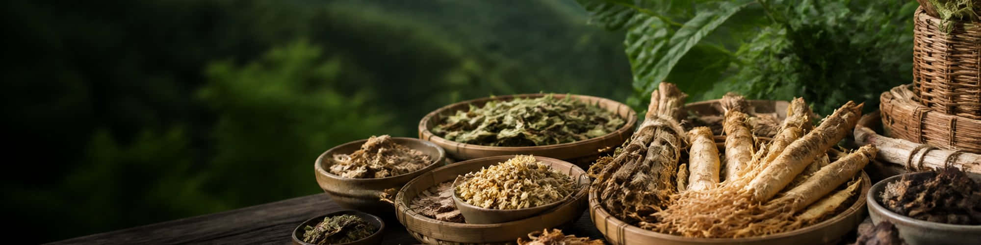 Banner sản phẩm Hướng Phùng - banner-duoc-lieu-2000x500