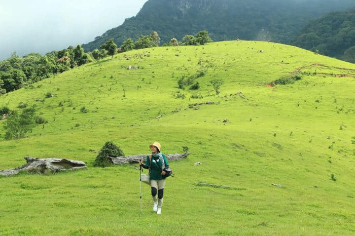 Đồng cỏ Xa Reng 2 Lối đi trekking qua đồng cỏ Xa Reng Quảng Trị